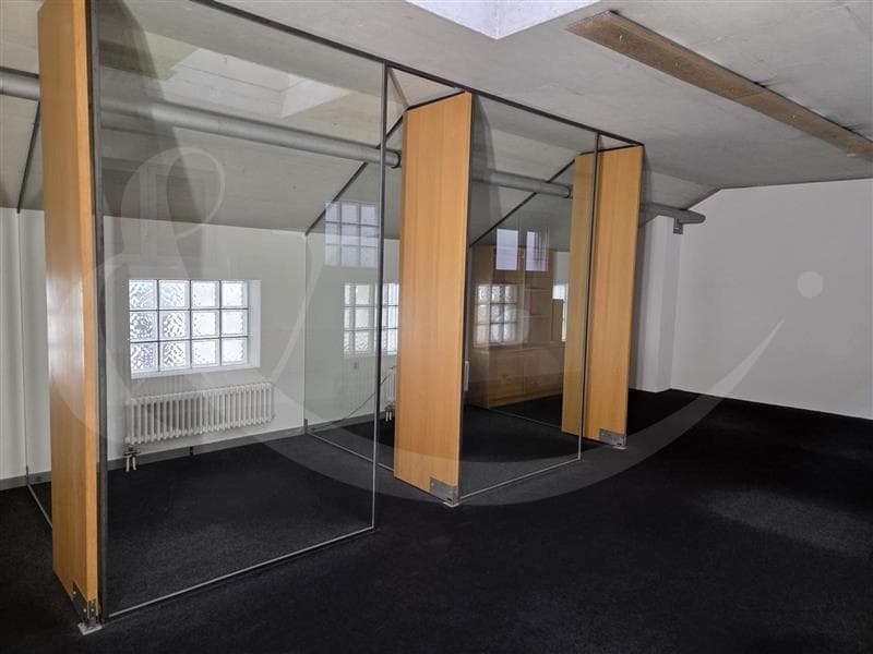 Rue Jean-Jaquet 8, Local professionnel de 322 m² (4)