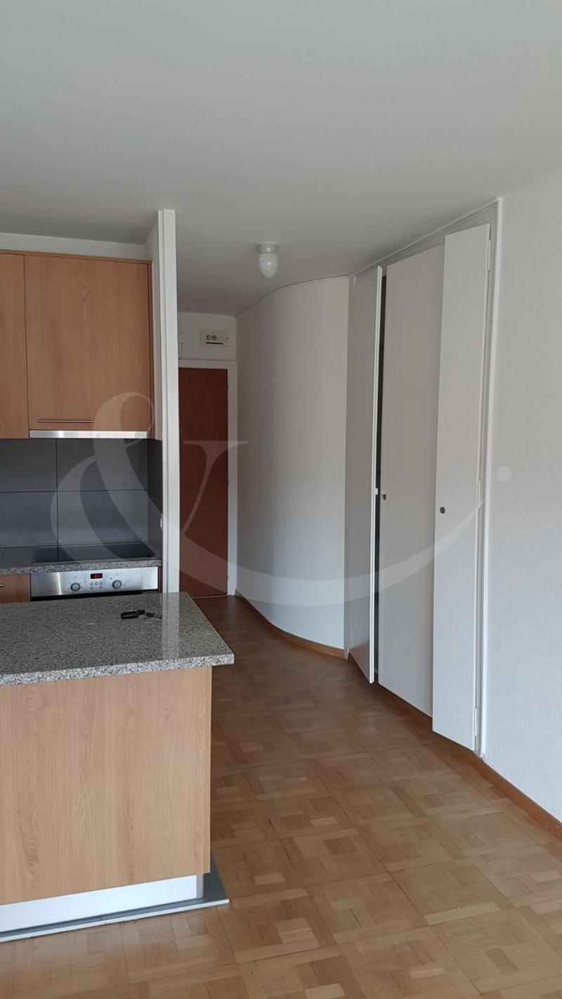 13 Rue Sautter, Appartement de 1 pièce (2)