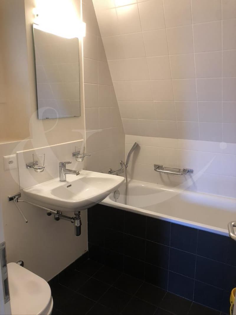 6 Rue Bautte, 3 pièces (3)
