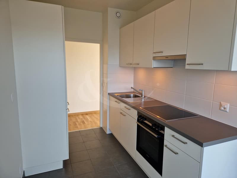 Rue du Grand-Bureau 19, Appartement de 5 pièces (1)