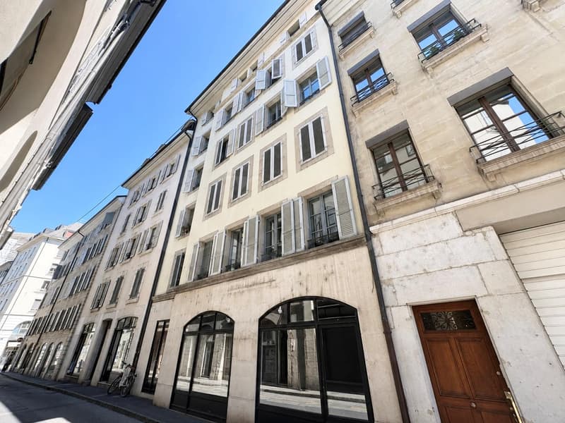 Élégant duplex-loft au coeur de Genève - à deux pas des Quais des Bergues (6)