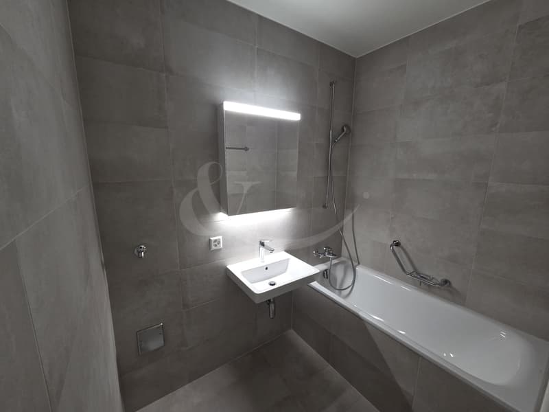 Appartement entièrement rénové, lumineux et moderne, idéalement situé à Vernier (6)