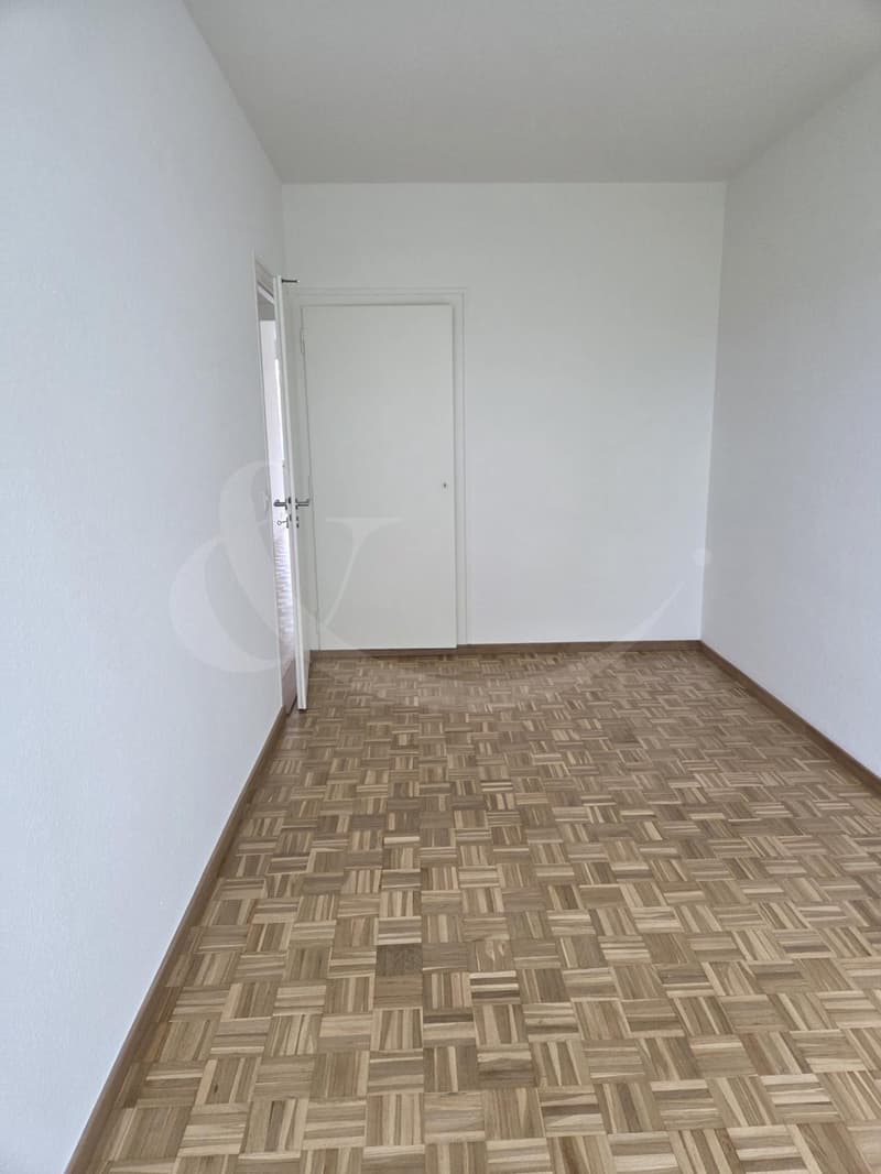 Appartement entièrement rénové, lumineux et moderne, idéalement situé à Vernier (5)