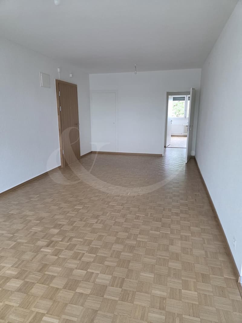 Appartement entièrement rénové, lumineux et moderne, idéalement situé à Vernier (2)