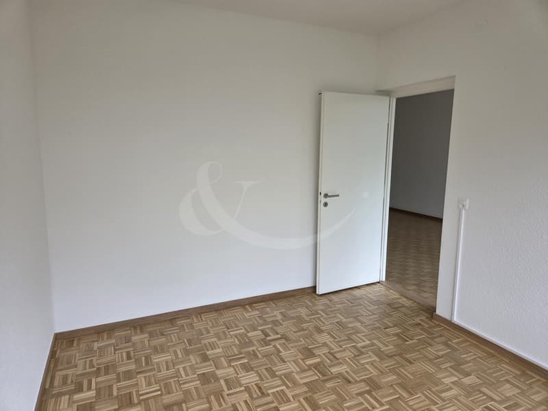 Appartement entièrement rénové, lumineux et moderne, idéalement situé à Vernier (3)