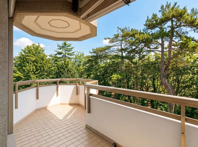 Appartement traversant de 6 pièces - Florissant / Malagnou (9)
