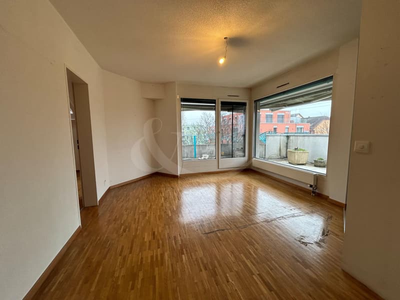 Attique exclusif occupant tout l'étage avec vaste terrasse au coeur de Perly (2)