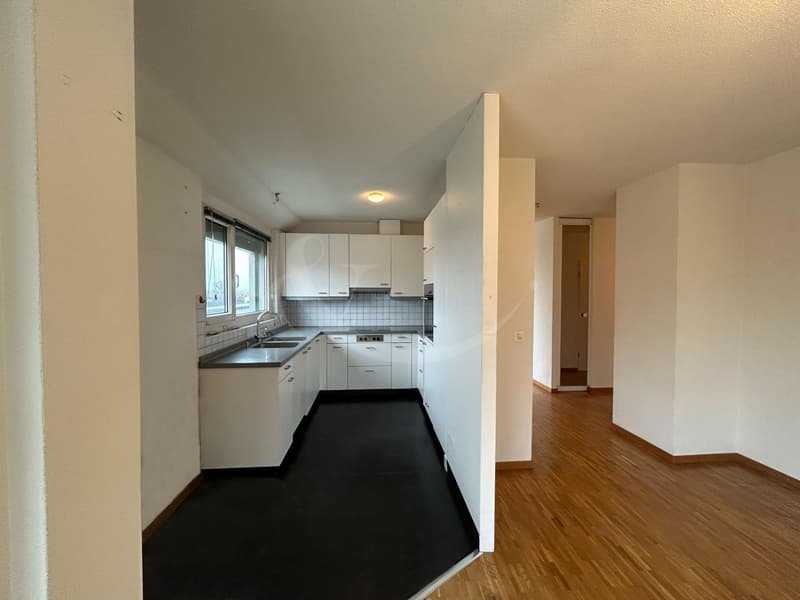 Attique exclusif occupant tout l'étage avec vaste terrasse au coeur de Perly (4)