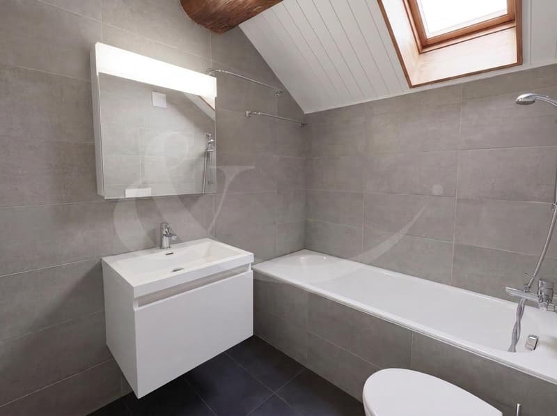Élégant duplex-loft au coeur de Genève - à deux pas des Quais des Bergues (7)