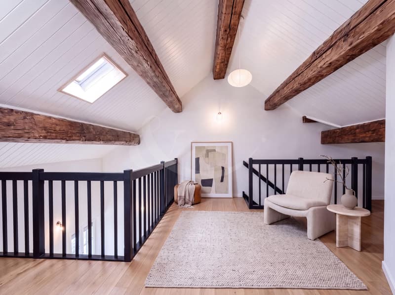 Élégant duplex-loft au coeur de Genève - à deux pas des Quais des Bergues (4)