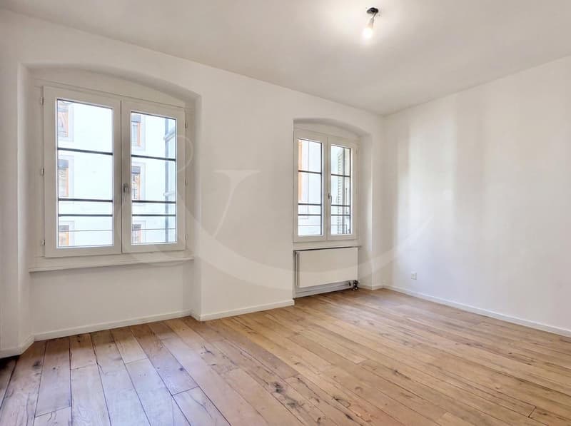Élégant duplex-loft au coeur de Genève - à deux pas des Quais des Bergues (5)