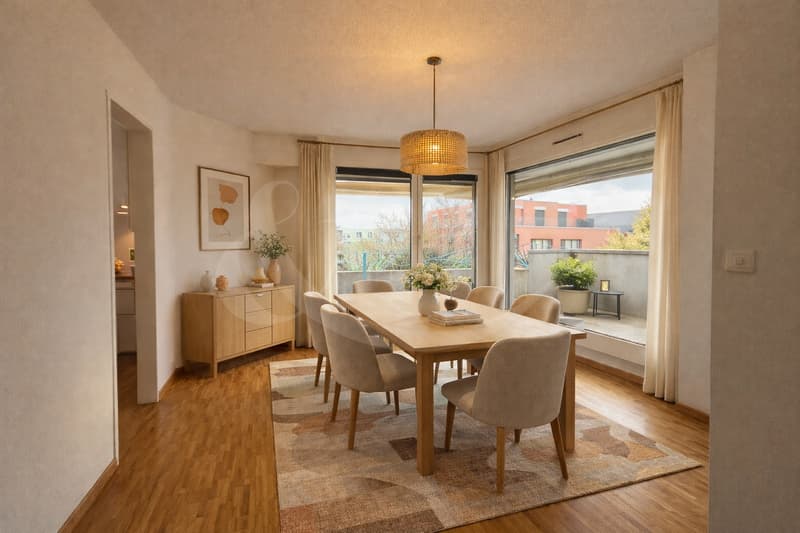 Attique exclusif occupant tout l'étage avec vaste terrasse au coeur de Perly (3)