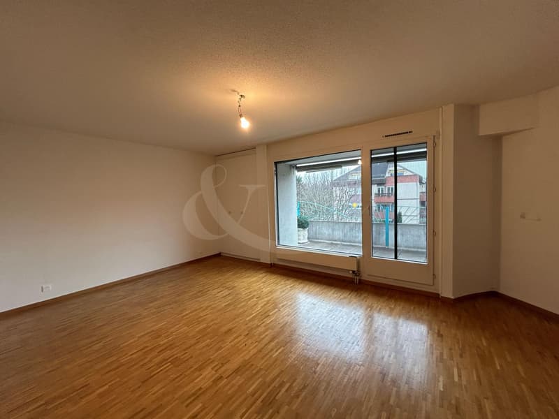 Attique exclusif occupant tout l'étage avec vaste terrasse au coeur de Perly (10)