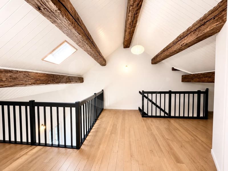 Élégant duplex-loft au coeur de Genève - à deux pas des Quais des Bergues (3)