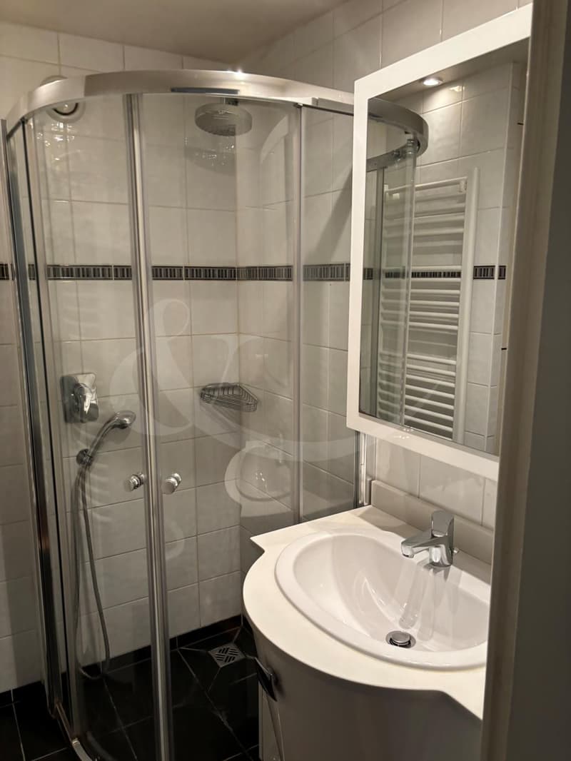 Rue Ancienne 27, Appartement de 2.5 pièces (3)
