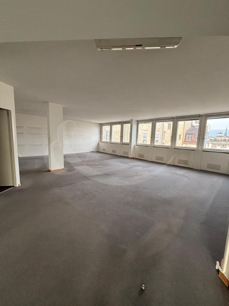 Rue Adrien-Lachenal 26, surface commerciale de 300m² (1)