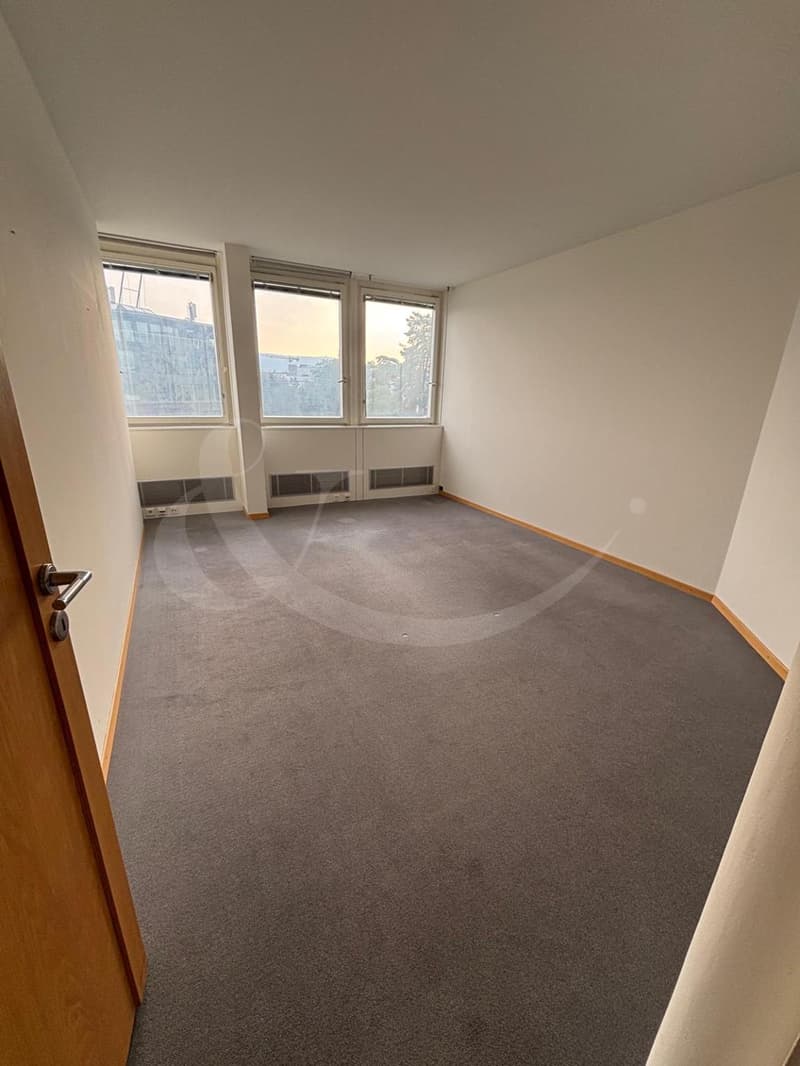 Rue Adrien-Lachenal 26, surface commerciale de 300m² (2)