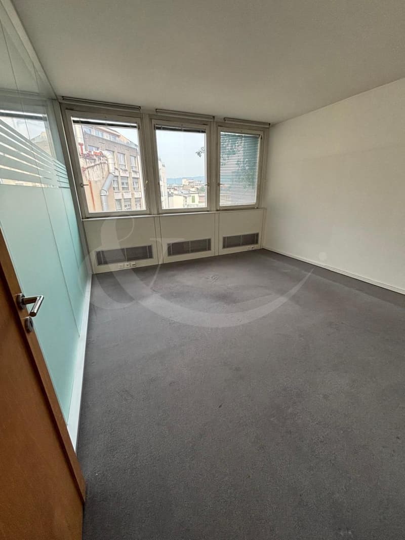 Rue Adrien-Lachenal 26, surface commerciale de 300m² (3)