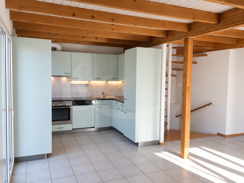 Jolie villa jumelle contemporaine de 7 pièces ? Avusy (5)