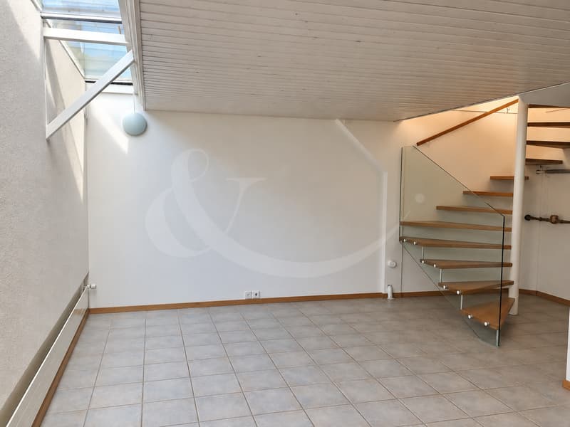 Jolie villa jumelle contemporaine de 7 pièces ? Avusy (6)