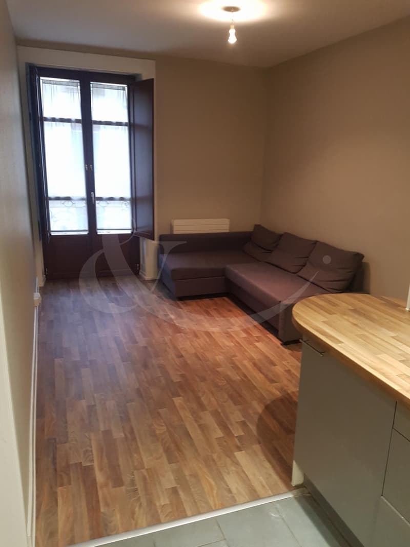 9 Rue des Eaux-Vives, 4 pièces (6)