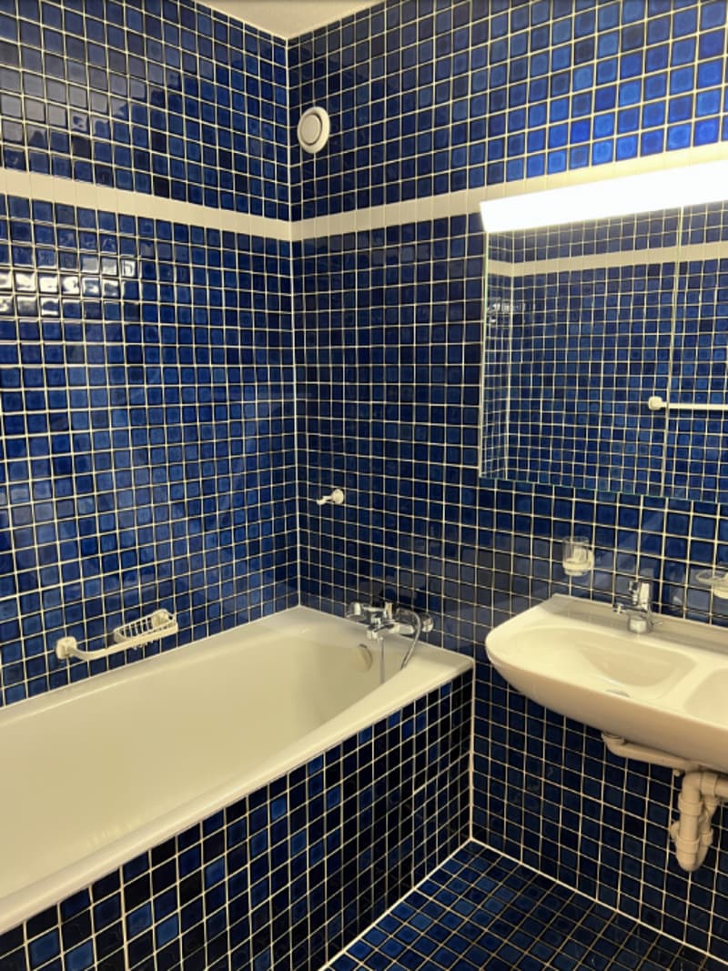 Route de Frontenex 110, Superbe appartement traversant de 5 pièces avec vue imprenable sur Genève et le lac. (4)