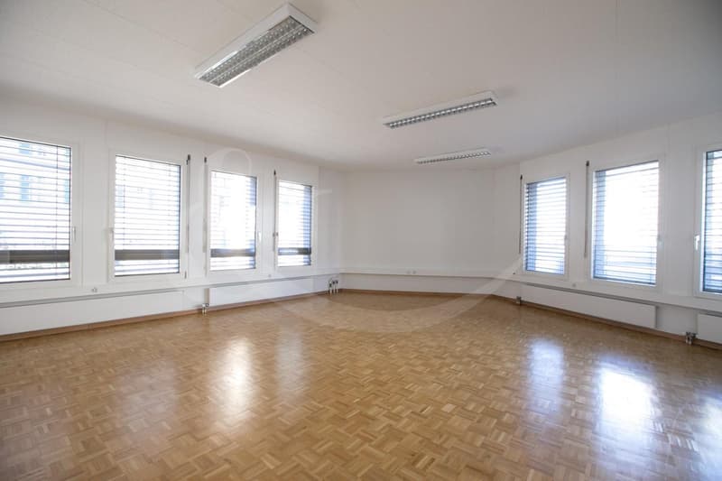 Rue de Vermont 62, espace professionnel lumineux de 478 m2 (6)