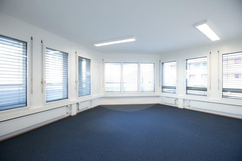 Rue de Vermont 62, espace professionnel lumineux de 478 m2 (2)
