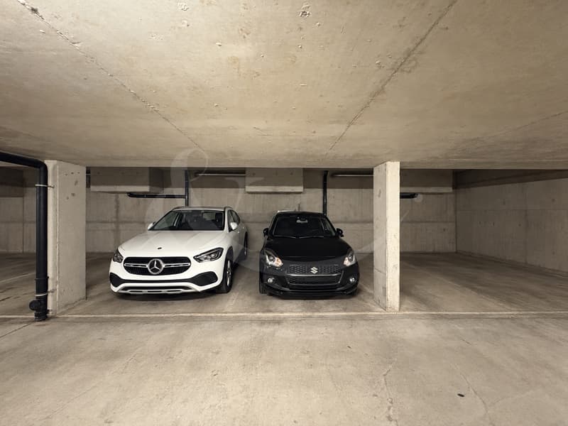 Place de parking - Opportunité d'investissement - Grand-Saconnex (2)