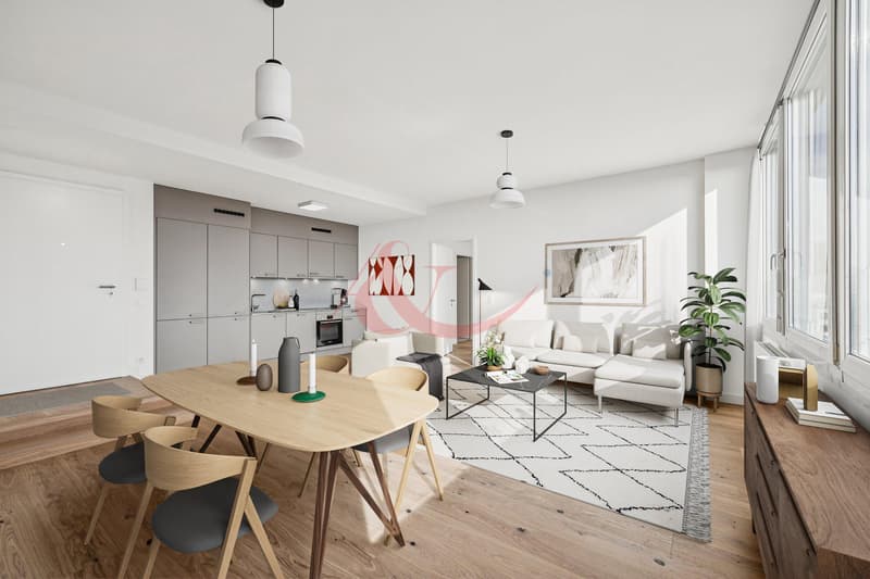 Appartement lumineux 3.5 pièces (2)