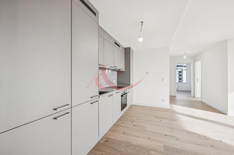 Appartement lumineux 3.5 pièces (5)