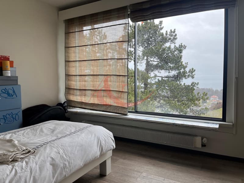 Splendide villa de 8,5 pièces avec vue imprenable sur le lac ? Cortaillod (9)