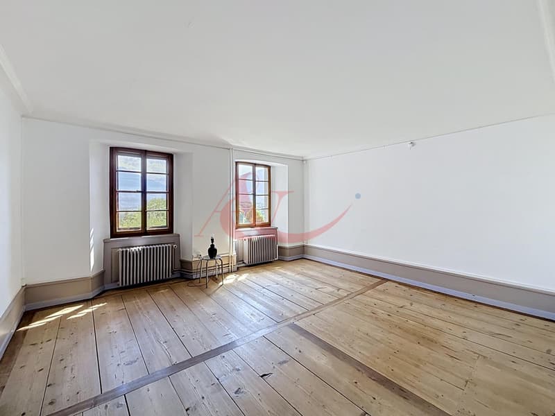 Magnifique appartement de 2 pièces à Ollon VD (2)