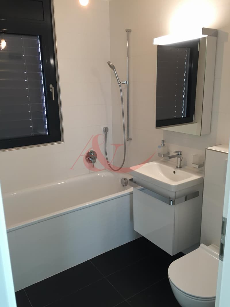 Résidence contemporaine avec vue sur le lac et les Alpes - La Conversion (7)