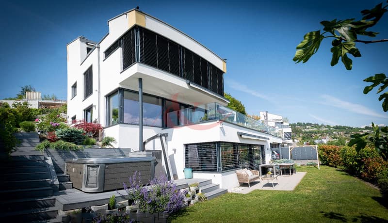 Résidence contemporaine avec vue sur le lac et les Alpes - La Conversion (2)