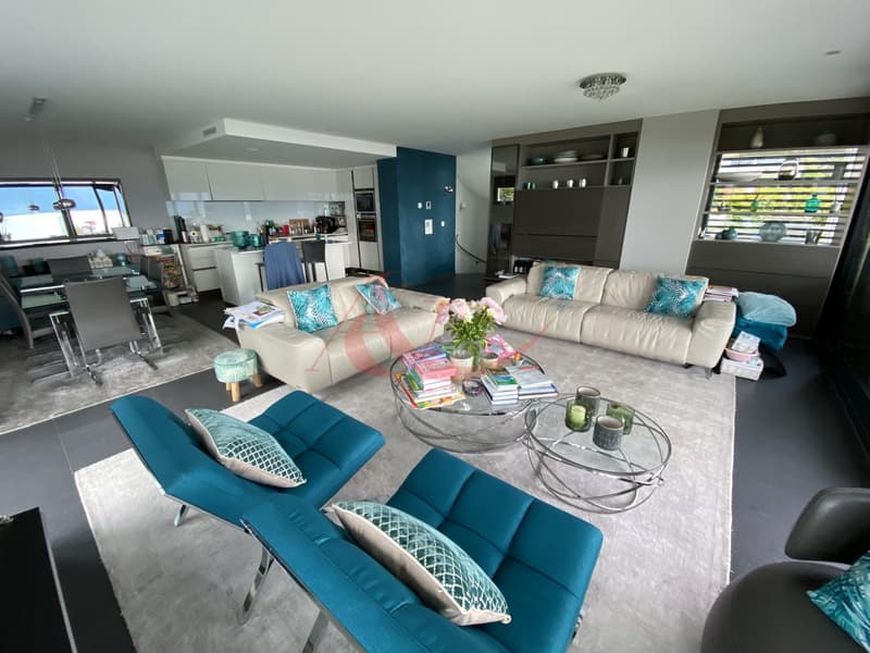 Résidence contemporaine avec vue sur le lac et les Alpes - La Conversion (4)