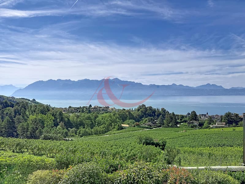 Résidence contemporaine avec vue sur le lac et les Alpes - La Conversion (4)