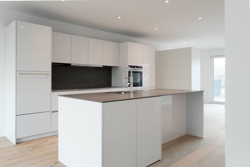 Appartement 4.5p neuf - Grand balcon (1)
