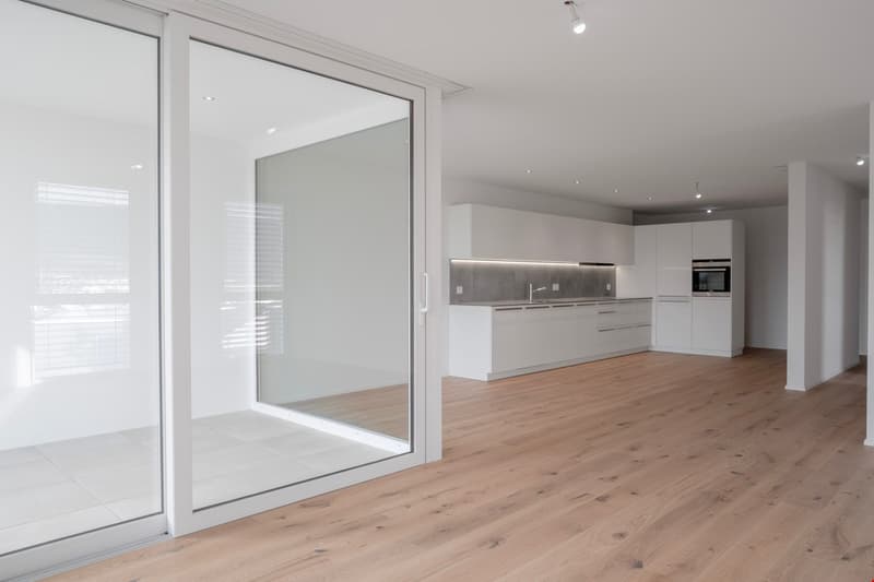 Grand appartement - 4.5p (1)