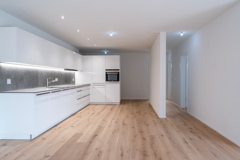 Grand appartement - 4.5p (3)