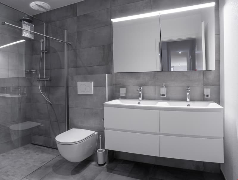 Grand appartement - 4.5p (4)