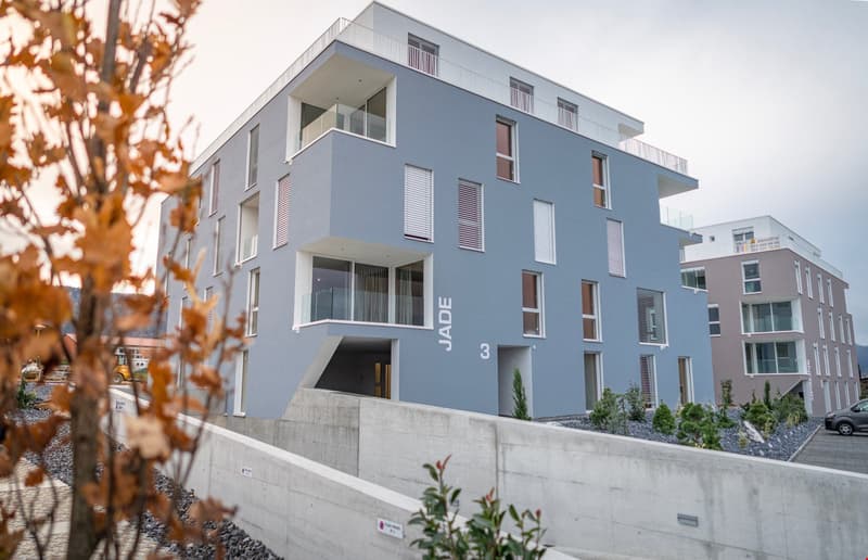 Grand appartement - 4.5p (2)