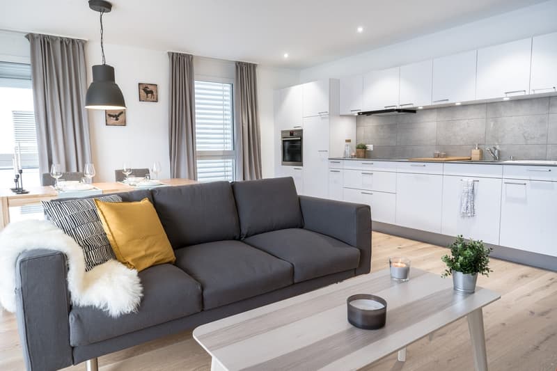 Magnifique appartement à louer (7)