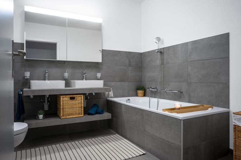 Magnifique appartement à louer (9)