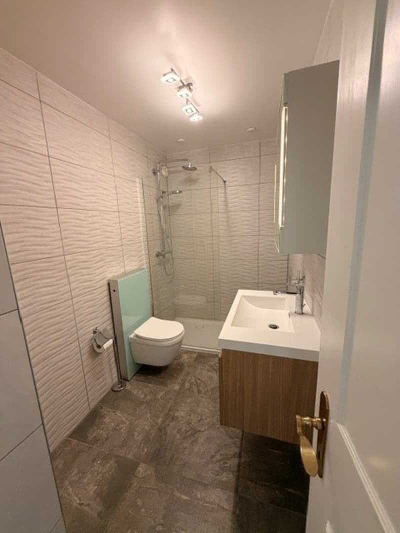 Appartement 3 pièces lumineux avec balcon à Mont-sur-Rolle (7)
