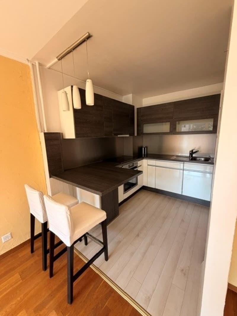 Appartement 3 pièces lumineux avec balcon à Mont-sur-Rolle (3)