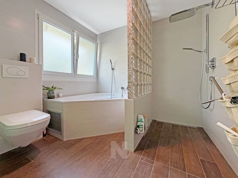 Maison mitoyenne moderne de 6 pièces à vendre à Belmont (13)