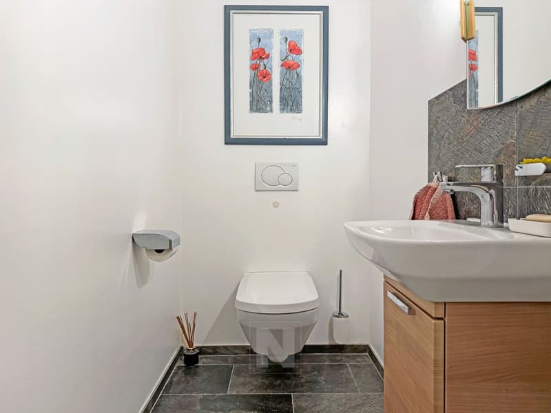 Maison mitoyenne moderne de 6 pièces à vendre à Belmont (12)
