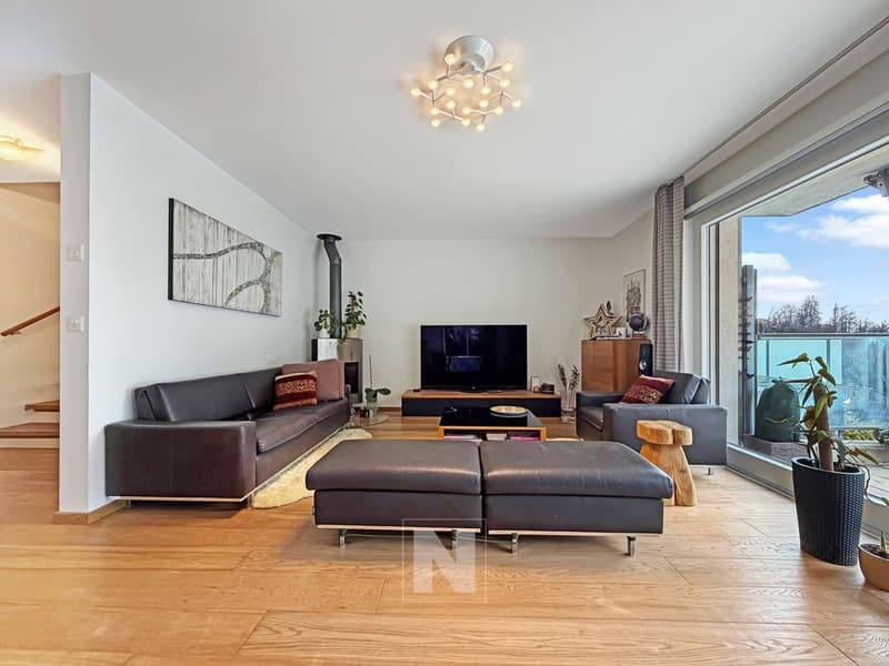Maison mitoyenne moderne de 6 pièces à vendre à Belmont (2)
