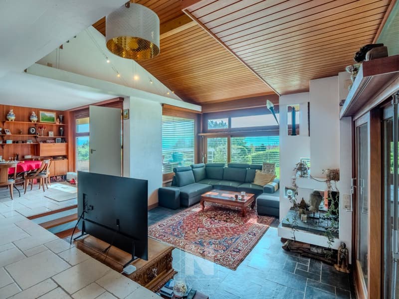 Villa individuelle de 9 pièces, 248 m2 habitables sur une propriété de plus de 4'000 m2 avec magnifique vue sur le lac (7)